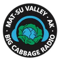 Big Cabbage Radio Author Interview: The Last Book Written by a Human by Jeff Burningham